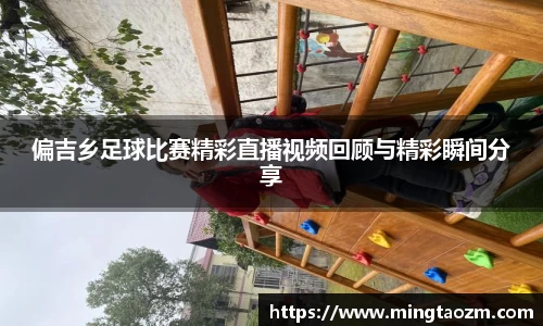 雷竞技app官网下载
