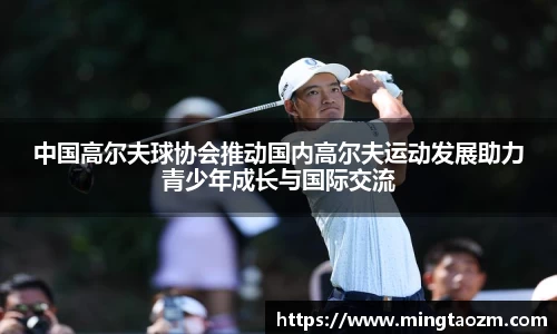 雷竞技app官网下载